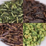 茶葉って実はこんなにも違う！１７種類の茶葉を見比べてみる。