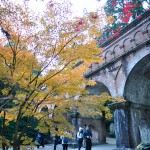 京都の紅葉といえば・・・南禅寺 2014年11月23日