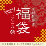 福袋 2018年 新春 初売り